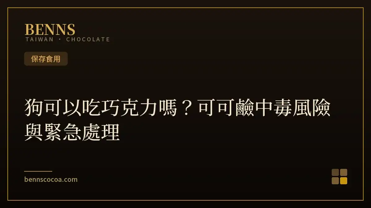 狗可以吃巧克力嗎？可可鹼中毒風險與緊急處理