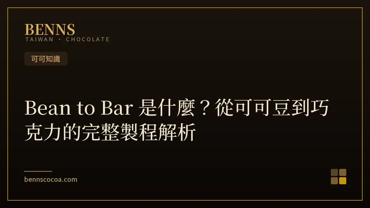 Bean to Bar 是什麼？從可可豆到巧克力的完整製程解析
